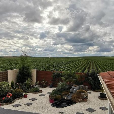 Au Bouchon Champenois Bouzy Exterior foto